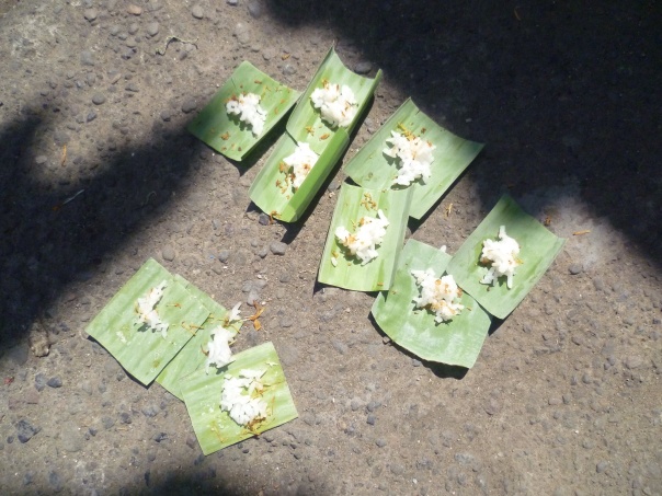 Little offerings - a little rice in a palm tree leaf...