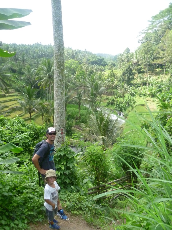 Lovely jungle views on our walks exploring the country side...
